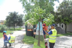 CB-Pomp-venafro2