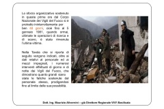 Terremoto-Irpinia_Ing_Alivernini