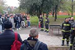 IMG-20221223-WA0010